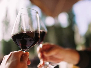 Melhores Vinhos Portugueses