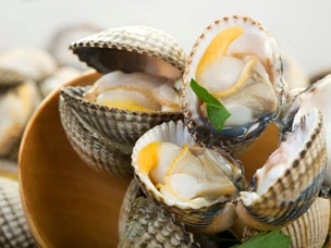 Berbigão: receitas e o que é