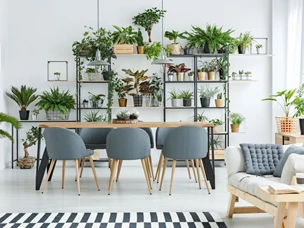 plantas de interior