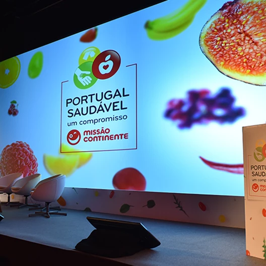 Painel Da Conferencia Portugal Saudavel
