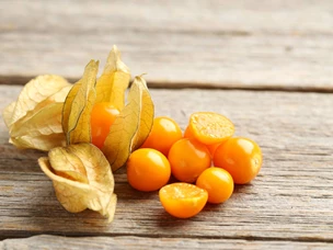 Physalis ou fisális