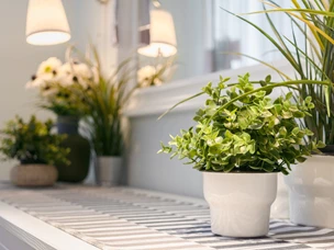 Plantas Artificiais